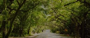 Fairhope HVAC hero image - oak highway